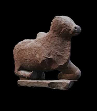  Nandi 
