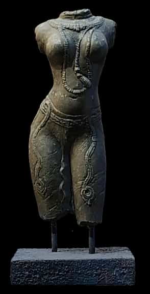Torso